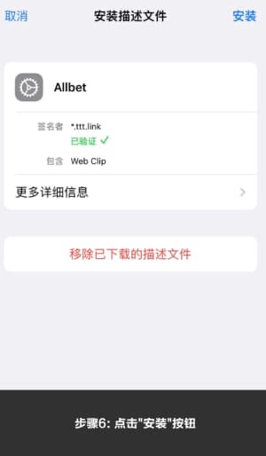 欧博ABG iOS版APP安装步骤示意图｜从下载到配置的完整流程6
