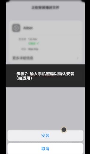 欧博ABG iOS版APP安装步骤示意图｜从下载到配置的完整流程7